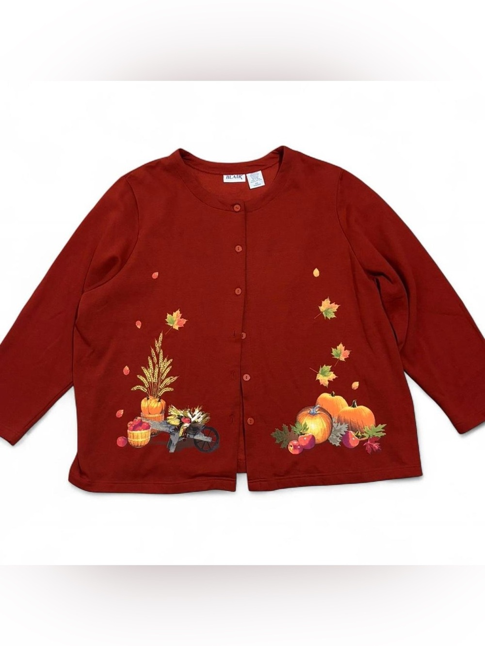 Vintage 90s Autumn Theme Cardigan, Size 2X, Fall, Teachercore, Cottagecore